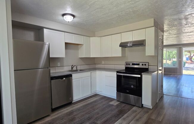 481-Satter Dr