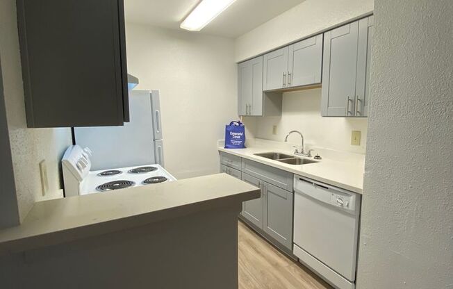 1 bed, 1 bath, 583 sqft, $940, Unit 0307