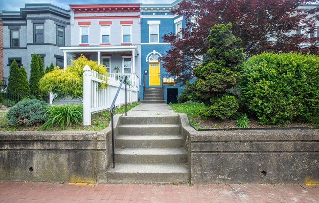 Spacious Studio Apartment in Capitol Hill!