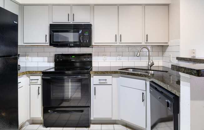 Kitchen with appliances at The Grove at White Oak Apartments, The Barvin Group, Texas