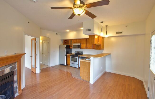 1 bed, 1 bath, 780 sqft, $1,450