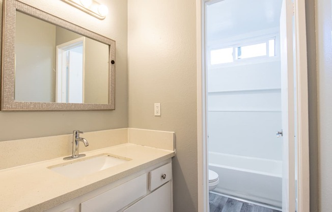 a bathroom with a sink and a mirror and a shower