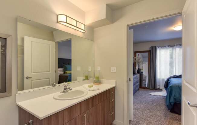 Master Bathroom with Vanity, Wood Cabinets, Sink Countertop, View of Bedroom