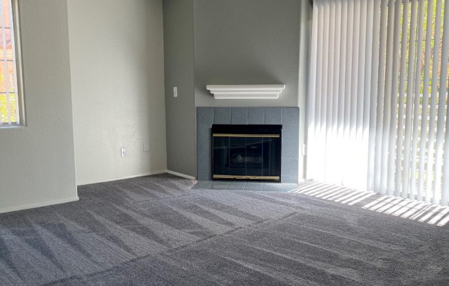 Gallery Photo 14
