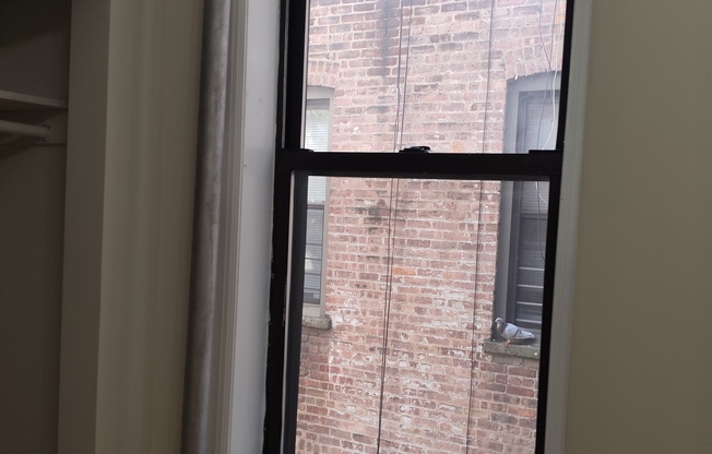 1 bed, 1 bath, $2,650