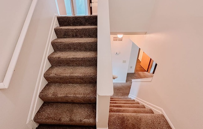 a staircase with carpeted stairs leading up to a house