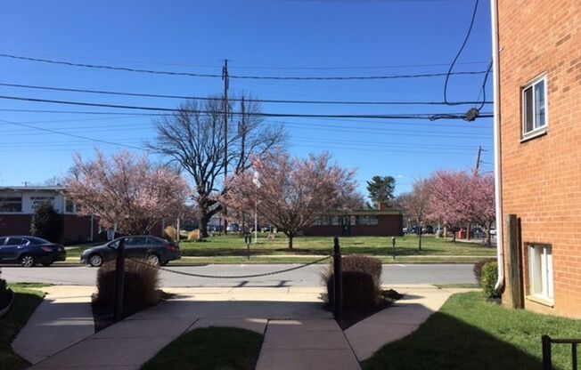 1 bed, 1 bath, 625 sqft, $1,205, Unit B05