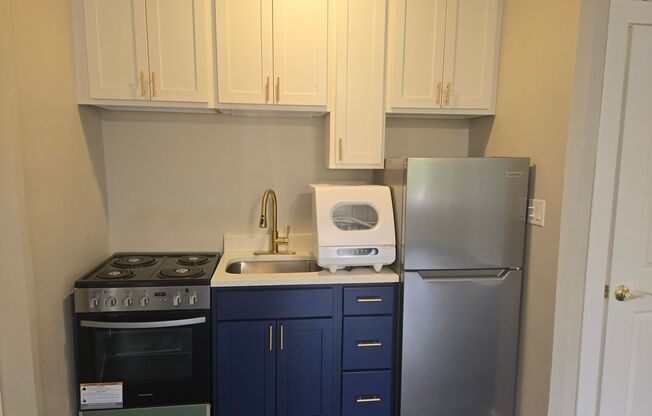 Studio, 1 bath, 250 sqft, $1,100, Unit 301