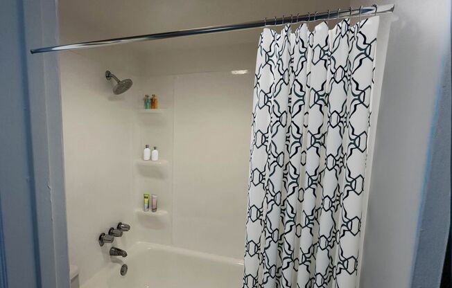 Studio, 1 bath, 480 sqft, $835