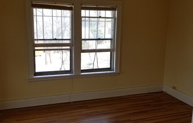 1 bed, 1 bath, 564 sqft, $1,019, Unit 209