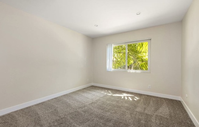 an empty room with a window and carpet