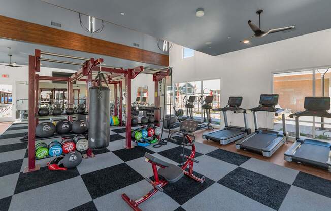 A gym with a variety of equipment including treadmills, weights, and a squat rack.