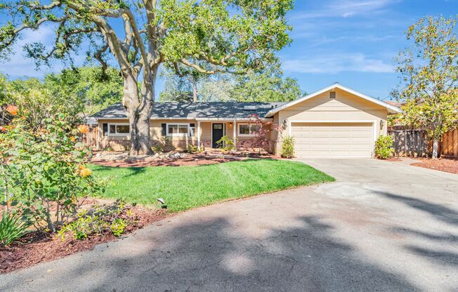Fabulous 3BR 2BA Single Family Los Altos Home