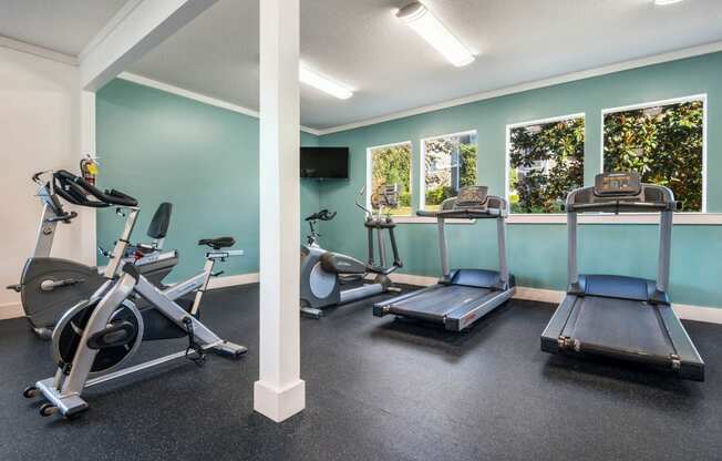 Modern Fitness Center at Cedar Springs Apartments, North Carolina