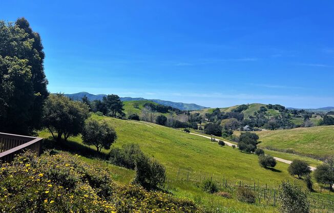 Spectacular Ranch House With Amazing Views!