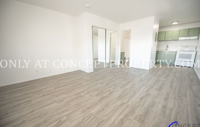 Studio, 1 bath, 360 sqft, $710, Unit 319