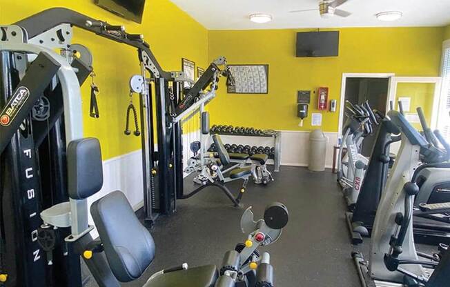 a gym with weights and cardio equipment in a home gym