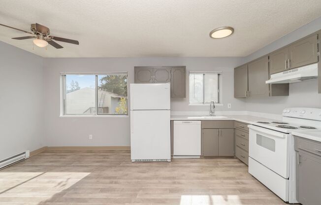 1 bed, 1 bath, 620 sqft, $1,250, Unit 29