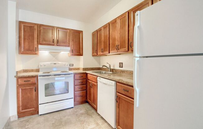 Gorgeous highrise apartment in Washington Park!