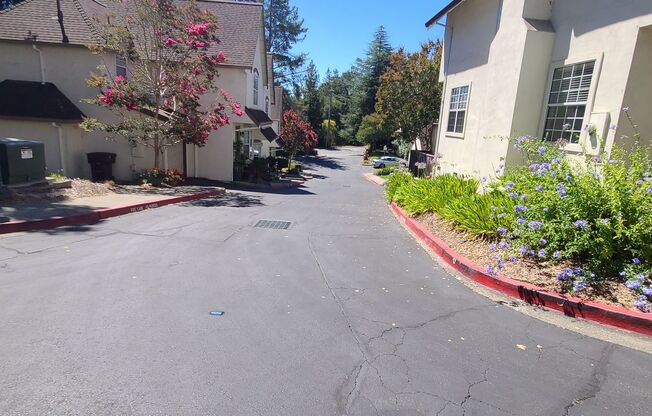 Beautiful Townhome Located Within Walking Distance To Downtown Sebastopol