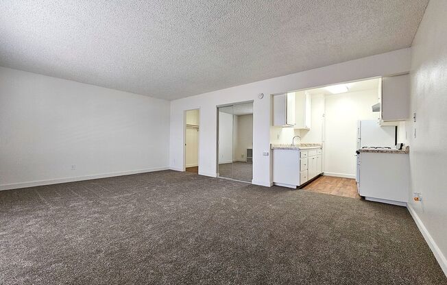Studio, 1 bath, 500 sqft, $1,395, Unit 66