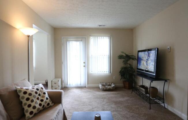 Gallery Photo 15