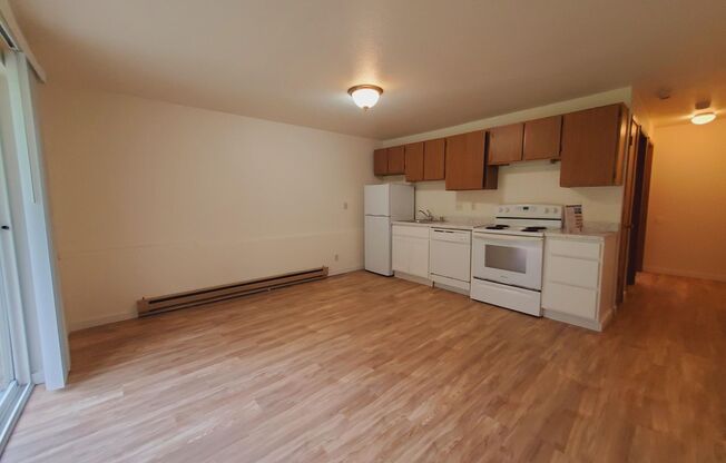 1 bed, 1 bath, 437 sqft, $1,195, Unit 10