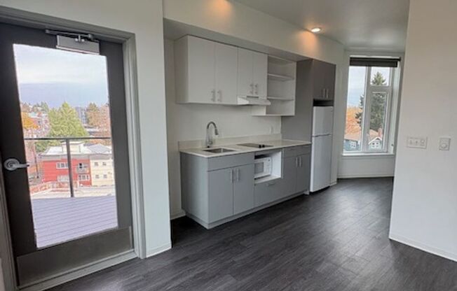 Studio, 1 bath, 261 sqft, $1,175, Unit 313