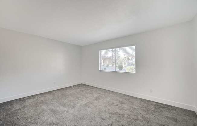 A room with a window and a carpeted floor.