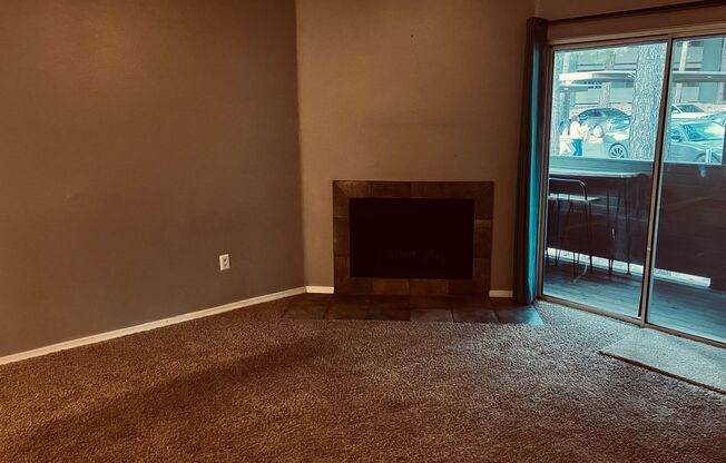 1 bed, 1 bath, $1,600