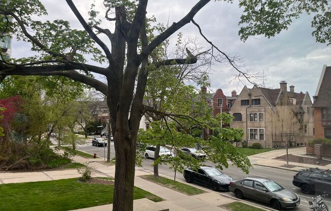 1 bed, 1 bath, $1,150, Unit 304