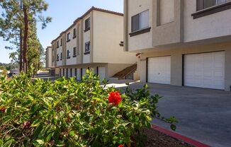 3 beds, 2 baths, $2,795, Unit 5650-06