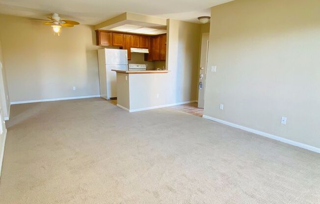 1 bed, 1 bath, $1,950, Unit UNIT 44