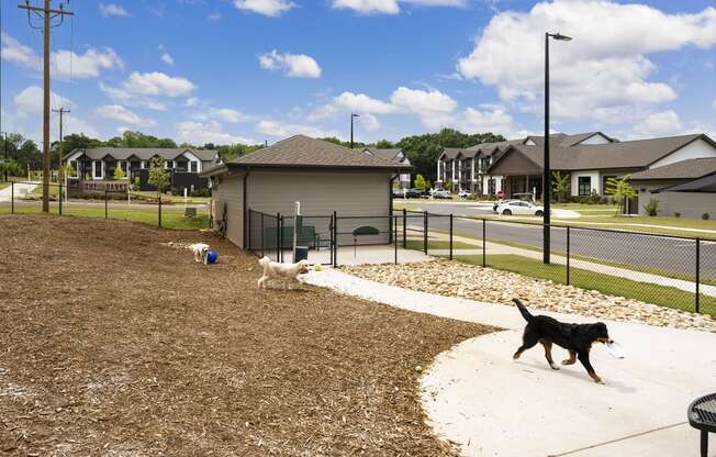 two dogs walking on a sidewalk near a dog park