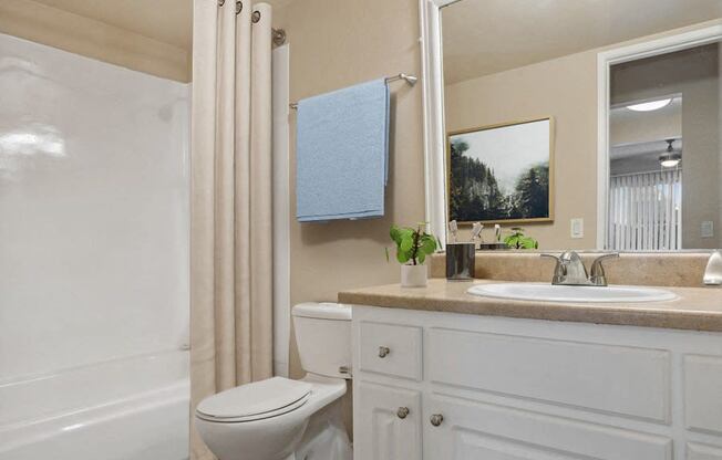 a bathroom with a toilet and a sink and a shower