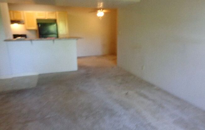 1 bed, 1 bath, $1,399, Unit # 238