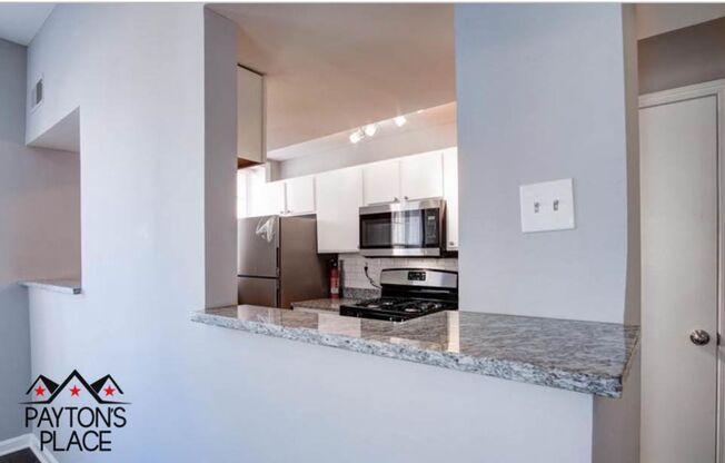 Renovated Condo in Secure Building