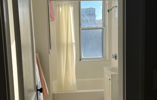 Studio, 1 bath, $2,300, Unit 19