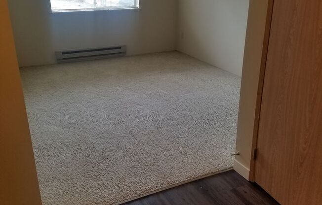 1 bed, 1 bath, 719 sqft, $1,875, Unit 113