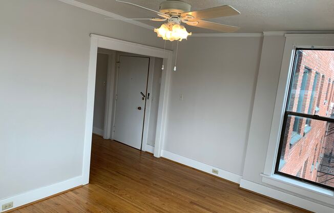 Studio, 1 bath, 280 sqft, $1,250, Unit 404