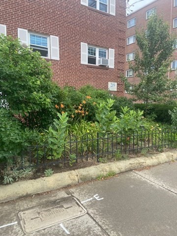 219 MASS AVE
