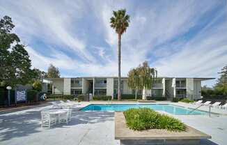 A pool area with a palm tree and a building in the background.
