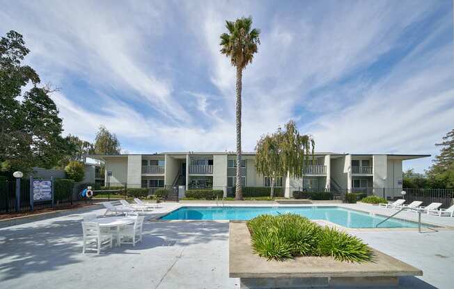 A pool area with a palm tree and a building in the background.