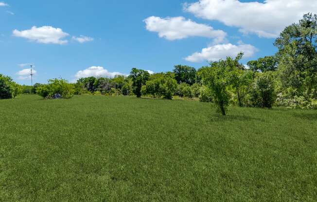 a grassy field with trees and a blue sky with clouds