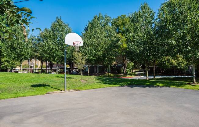 Hathaway Court Basketball Court