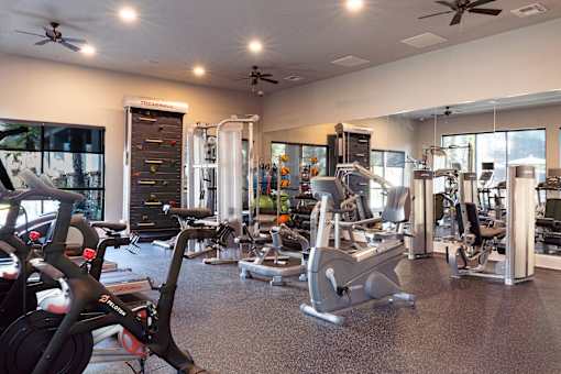 A gym with a variety of exercise equipment including treadmills, stationary bikes, and weight machines.