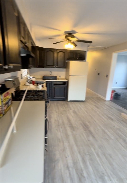 17 SPRINGVALE AVE