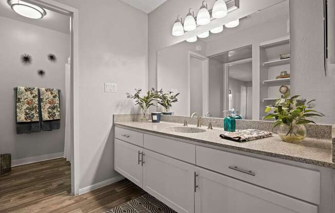 A bathroom with a vanity, mirror, and a potted plant.