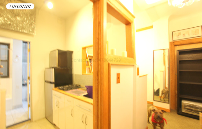 Studio, 1 bath, $2,000, Unit 1E