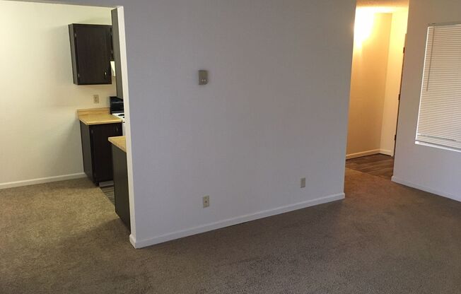 1 bed, 1 bath, $1,125